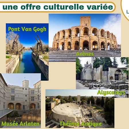 Palmeira - Grande maison en ville avec Piscine Arles Exterior foto