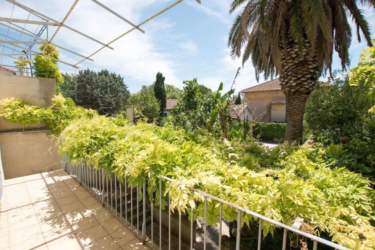 Palmeira - Grande maison en ville avec Piscine Arles Exterior foto