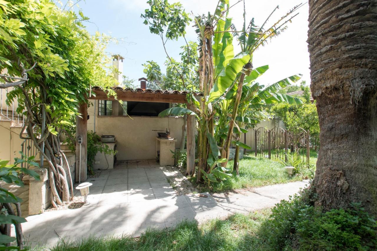 Palmeira - Grande maison en ville avec Piscine Arles Exterior foto