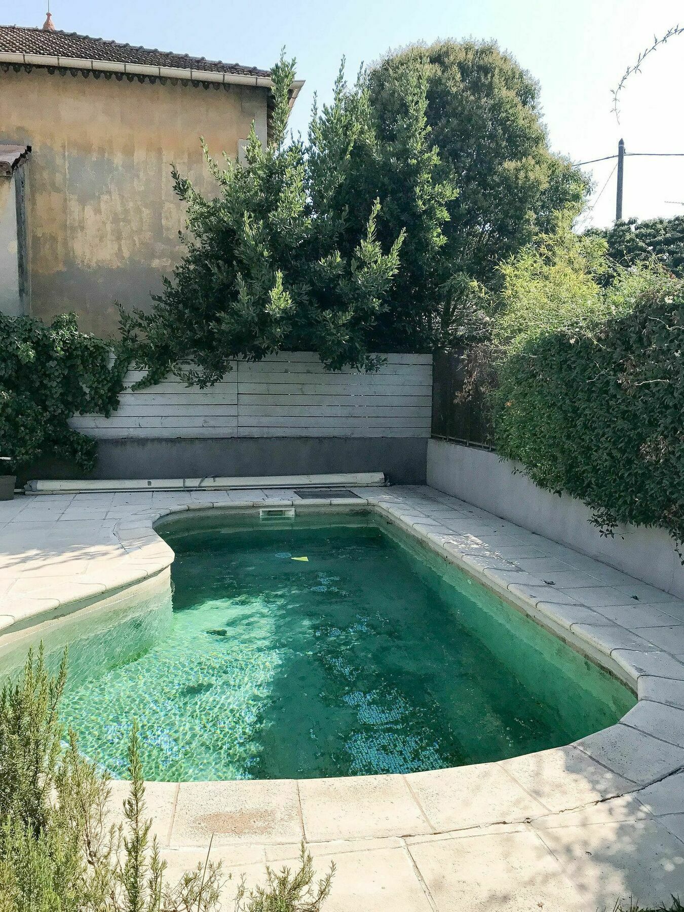 Palmeira - Grande maison en ville avec Piscine Arles Exterior foto