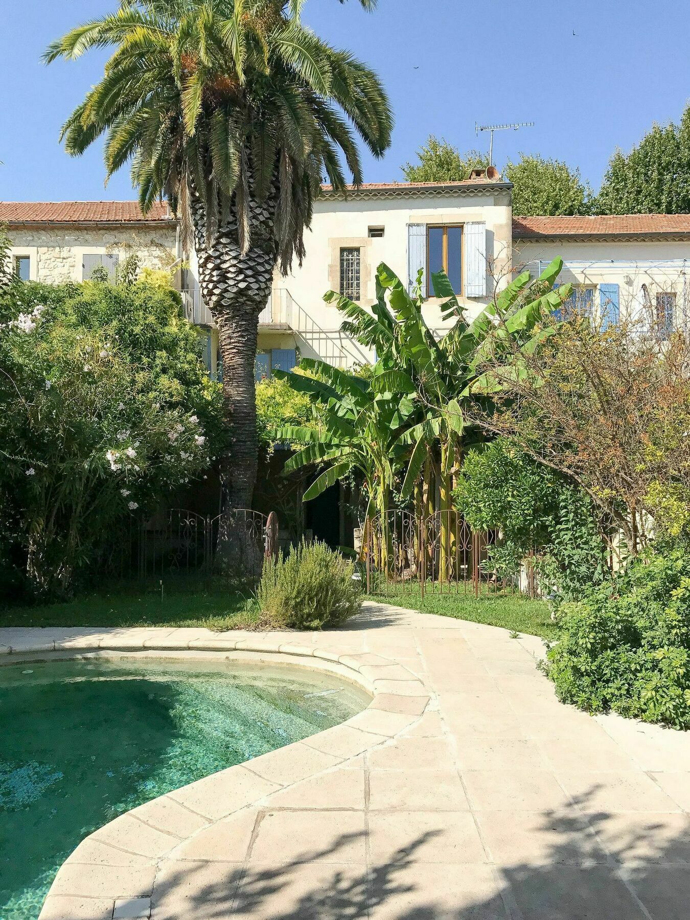 Palmeira - Grande maison en ville avec Piscine Arles Exterior foto