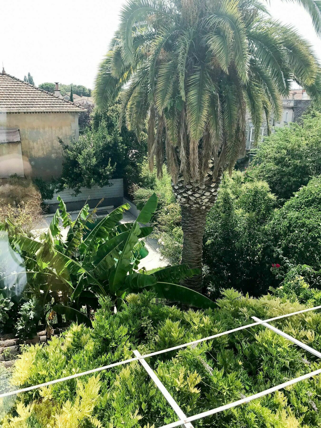 Palmeira - Grande maison en ville avec Piscine Arles Exterior foto